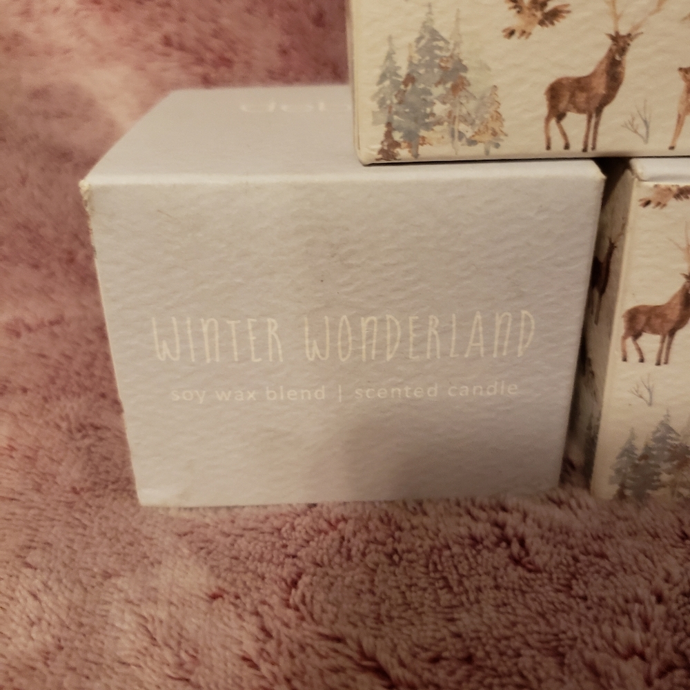 NIB Lot of 3 Debi Lilly Winter Mini Candle